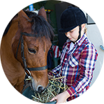 Horse Bedding Review